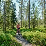 Kaira, Kahden Makuuhuoneen Kelomoekki, Lukuisten Polkujen, Polkupyoeraereitin Sekae Kalaisan Tunturilammen Vieressae *