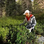 Kaira, Kahden Makuuhuoneen Kelomoekki, Lukuisten Polkujen, Polkupyoeraereitin Sekae Kalaisan Tunturilammen Vieressae Holiday home *