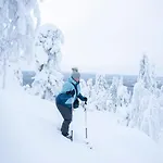 Kaira, Kahden Makuuhuoneen Kelomoekki, Lukuisten Polkujen, Polkupyoeraereitin Sekae Kalaisan Tunturilammen Vieressae Holiday home Syote