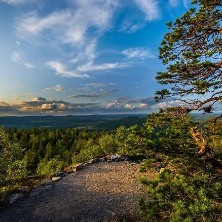 Kaira 27, Kahden Makuuhuoneen Kelomoekki Syoetteellae, Valaistun Ladun Vieressae