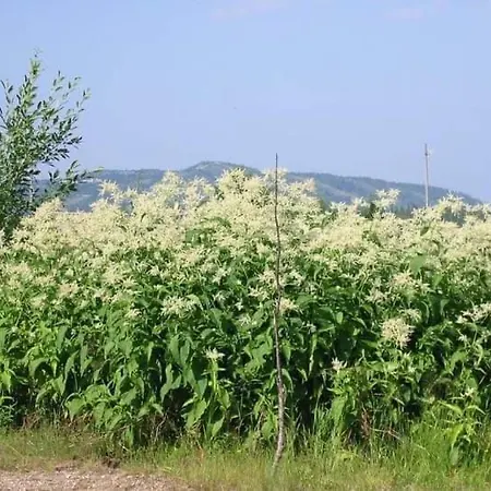 度假居 Kaira 27, Kahden Makuuhuoneen Kelomoekki Syoetteellae, Valaistun Ladun Vieressae *