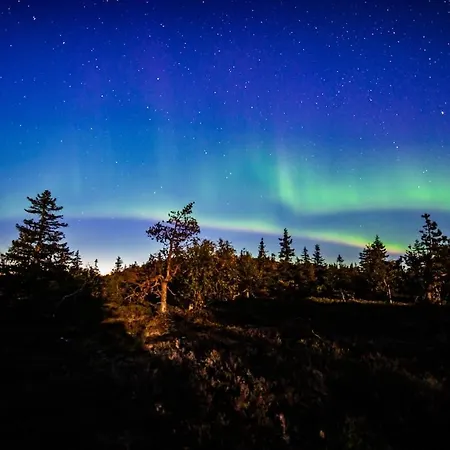 Kaira 27, Kahden Makuuhuoneen Kelomoekki Syoetteellae, Valaistun Ladun Vieressae *