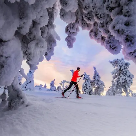 Kaira 27, Kahden Makuuhuoneen Kelomoekki Syoetteellae, Valaistun Ladun Vieressae * Syöte
