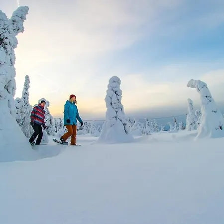 Kaira 27, Kahden Makuuhuoneen Kelomoekki Syoetteellae, Valaistun Ladun Vieressae *