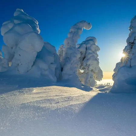 Kaira 27, Kahden Makuuhuoneen Kelomoekki Syoetteellae, Valaistun Ladun Vieressae * Syöte