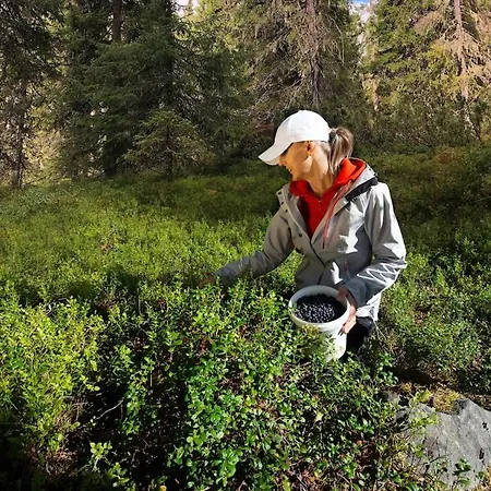 Kaira 27, Kahden Makuuhuoneen Kelomoekki Syoetteellae, Valaistun Ladun Vieressae 度假居 *