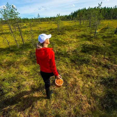 Kaira, Kahden Makuuhuoneen Kelomoekki, Lukuisten Polkujen, Polkupyoeraereitin Sekae Kalaisan Tunturilammen Vieressae *