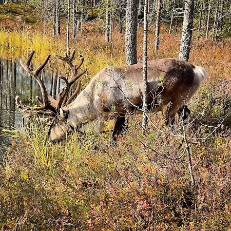 Kaira 27, Kahden Makuuhuoneen Kelomoekki Syoetteellae, Valaistun Ladun Vieressae * 索特