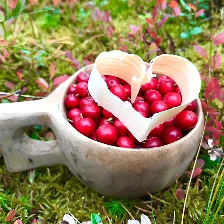 Semesterbostad Kaira 27, Kahden Makuuhuoneen Kelomoekki Syoetteellae, Valaistun Ladun Vieressae Syöte