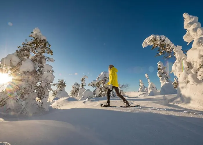 Kaira 27, Kahden Makuuhuoneen Kelomoekki Syoetteellae, Valaistun Ladun Vieressae Сиоте
