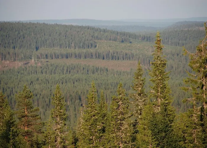 Kaira 27, Kahden Makuuhuoneen Kelomoekki Syoetteellae, Valaistun Ladun Vieressae Дом отдыха *