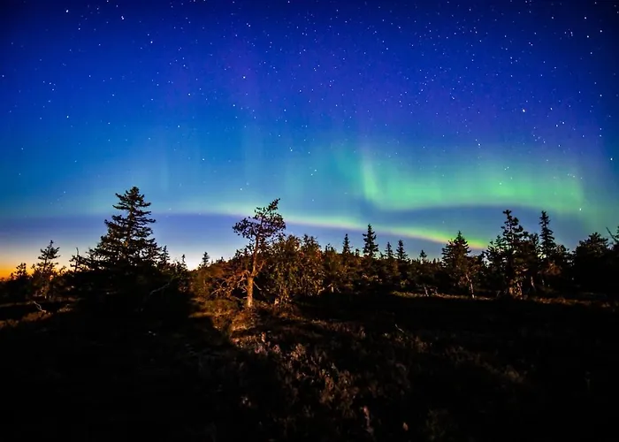 Kaira 27, Kahden Makuuhuoneen Kelomoekki Syoetteellae, Valaistun Ladun Vieressae *
