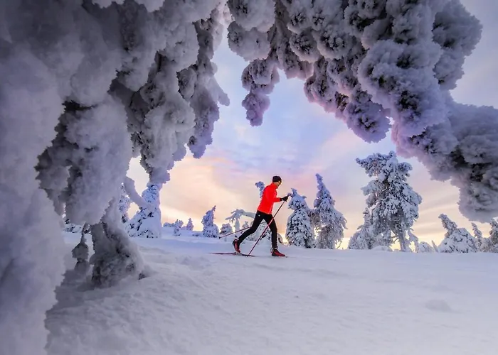 Kaira 27, Kahden Makuuhuoneen Kelomoekki Syoetteellae, Valaistun Ladun Vieressae * Сиоте