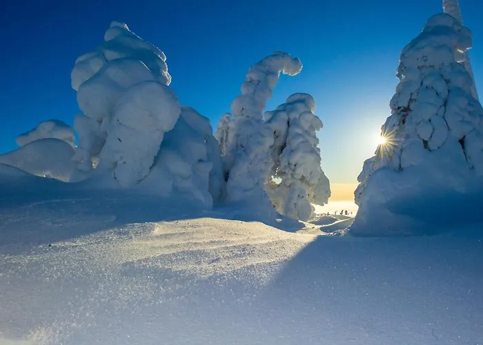 Kaira 27, Kahden Makuuhuoneen Kelomoekki Syoetteellae, Valaistun Ladun Vieressae * Сиоте