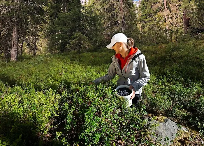 Kaira 27, Kahden Makuuhuoneen Kelomoekki Syoetteellae, Valaistun Ladun Vieressae Дом отдыха *