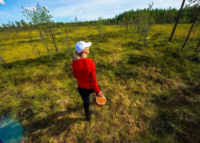 Kaira 27, Kahden Makuuhuoneen Kelomoekki Syoetteellae, Valaistun Ladun Vieressae *